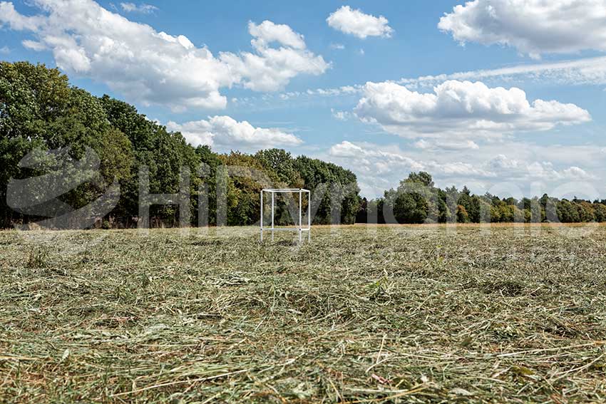 farmland in germany HiDynamic Productions